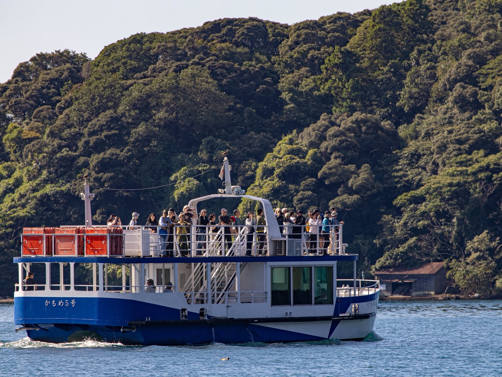 Ein Ausflugsboot vor bewaldeter Küste.