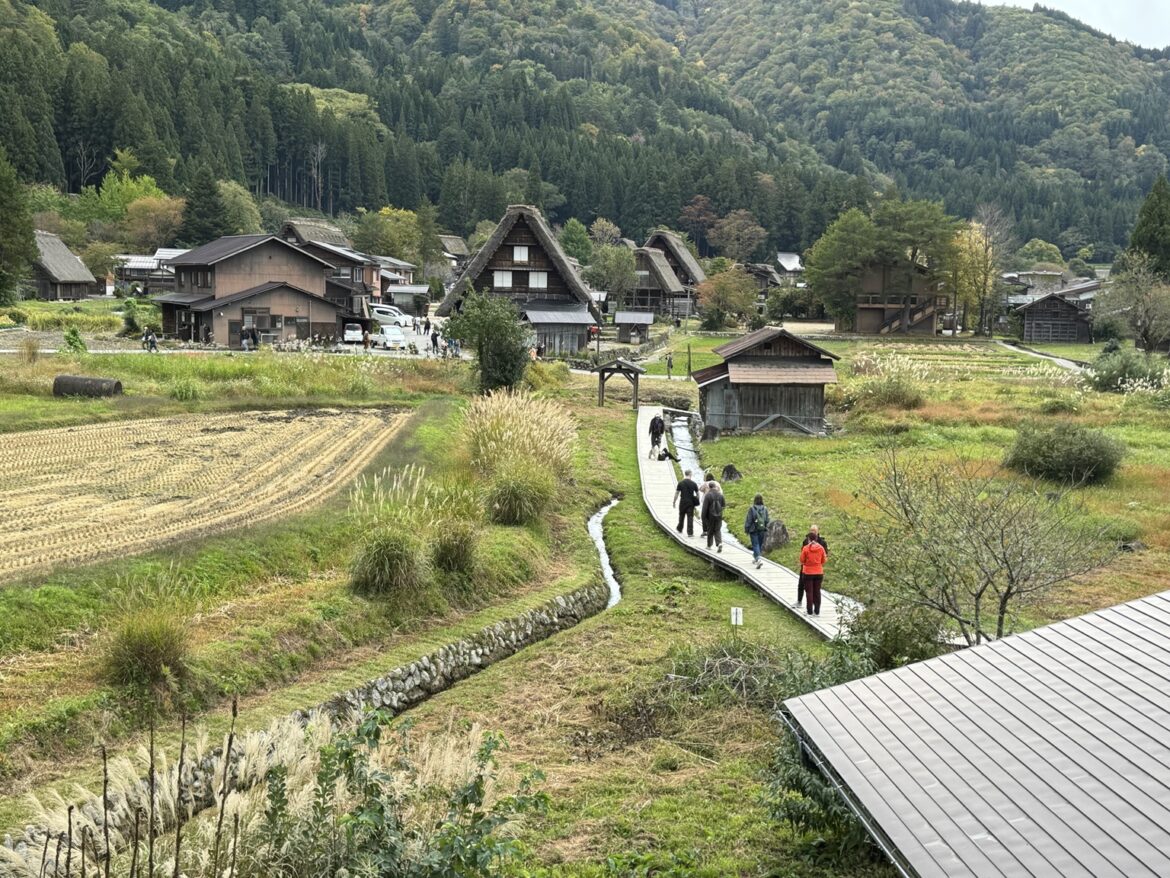 Historic thatched houses, rice fields and forested hills in Shirakawa-go.